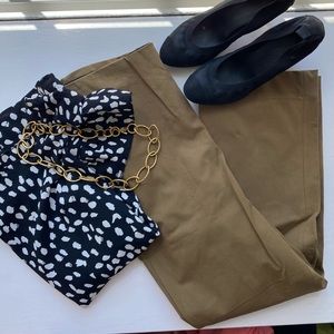 Everlane EUC, side zip chino, sz 12